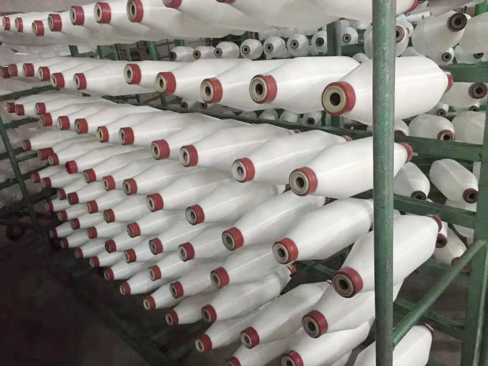 Leading Global PA 6 Monofilament Manufacturer