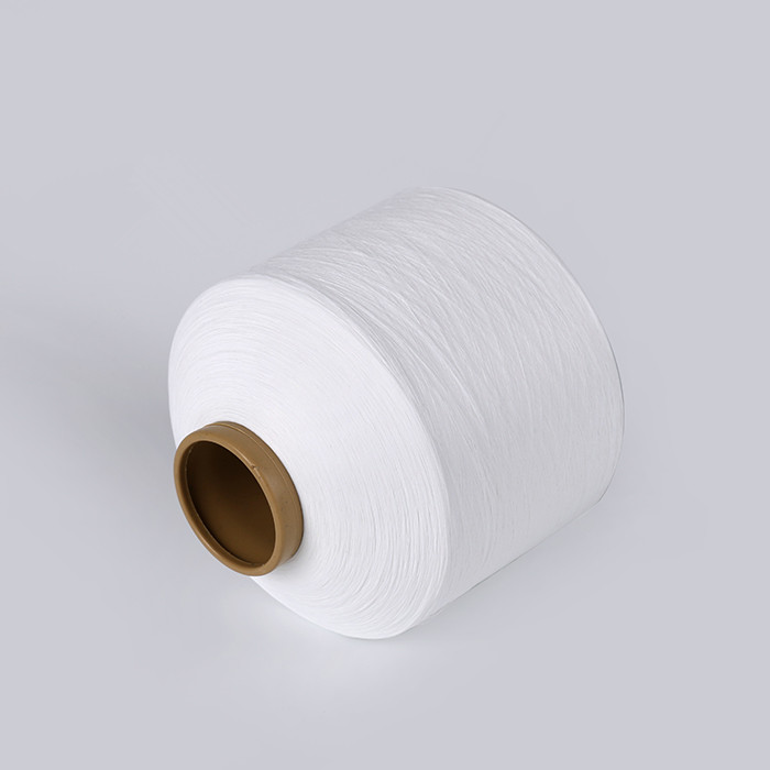 100 denier polyester yarn