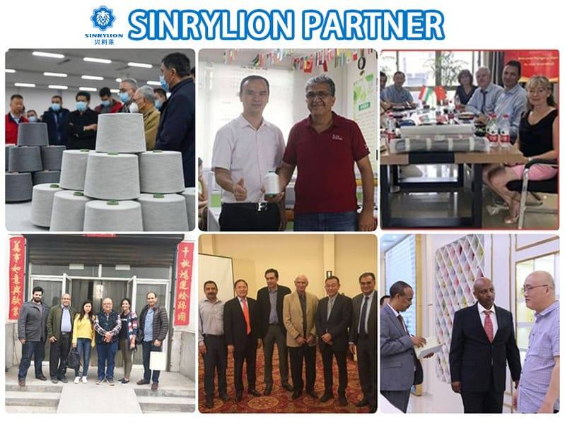 SINRYLION PARTNER