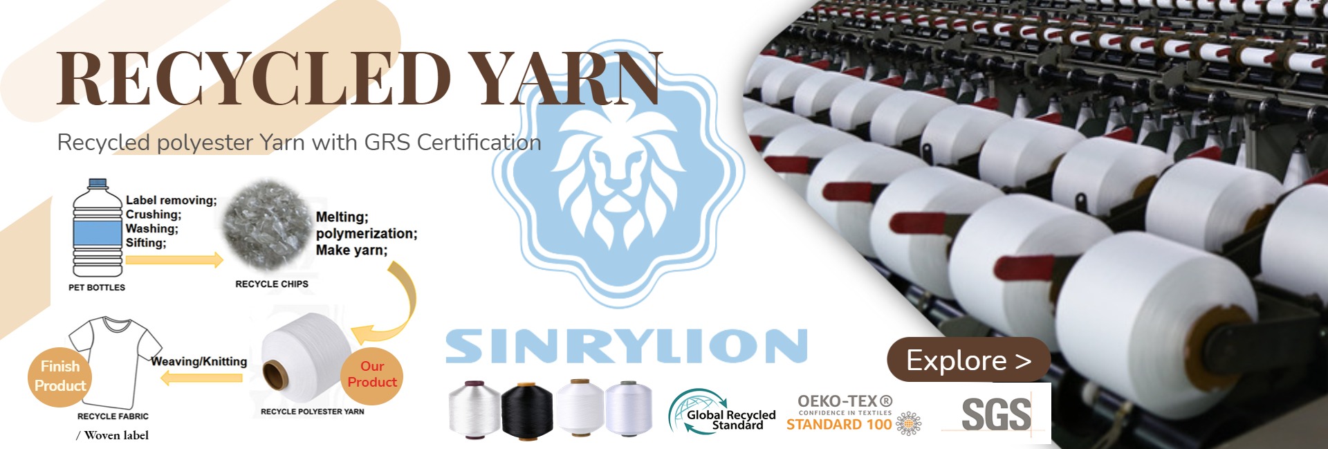 Sinrylion