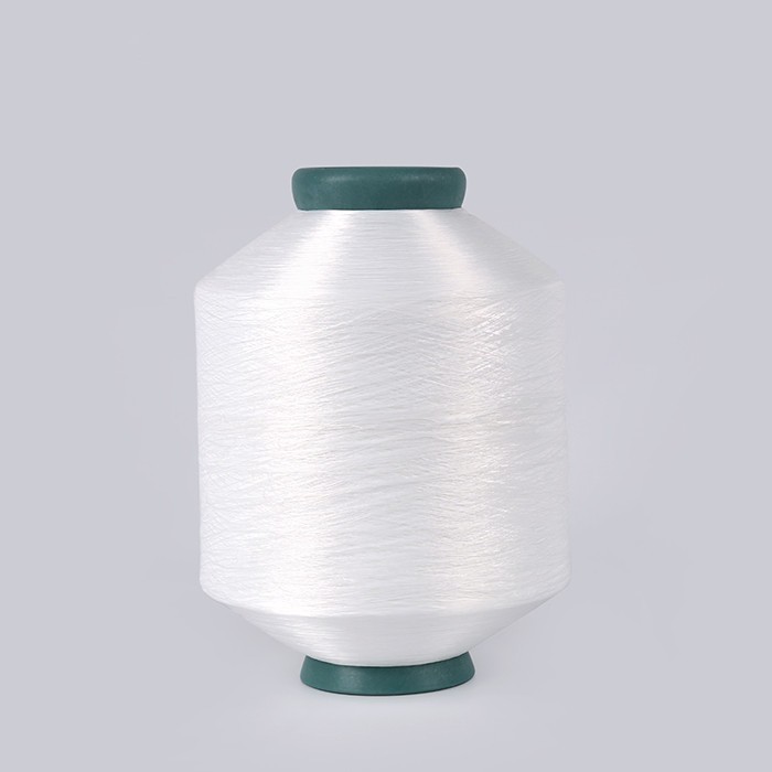 Sinrylion's PA 6 monofilament