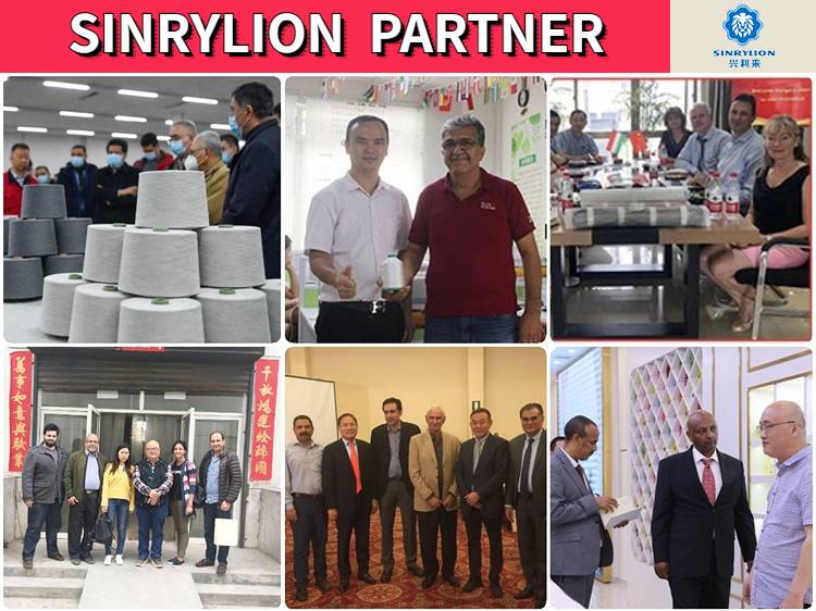 Sinrylion's partners